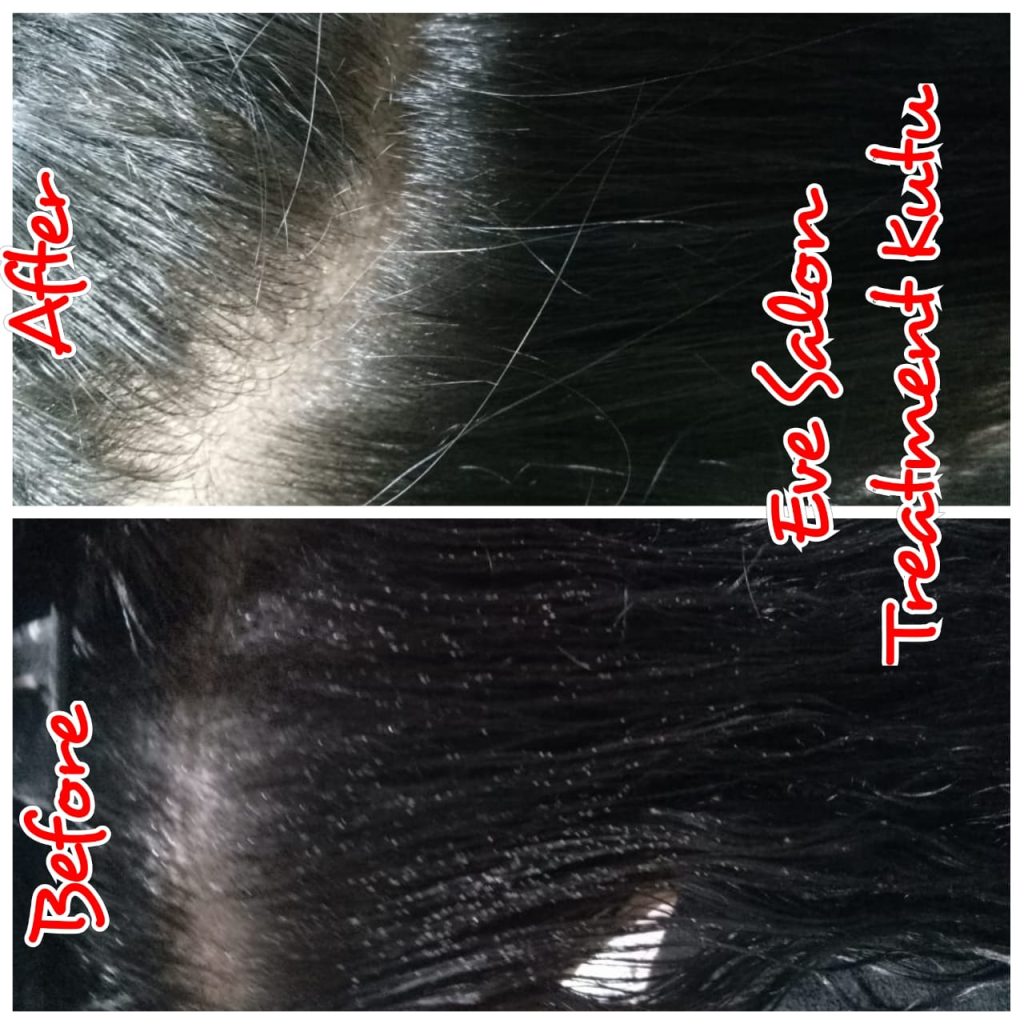 salon kutu bogor