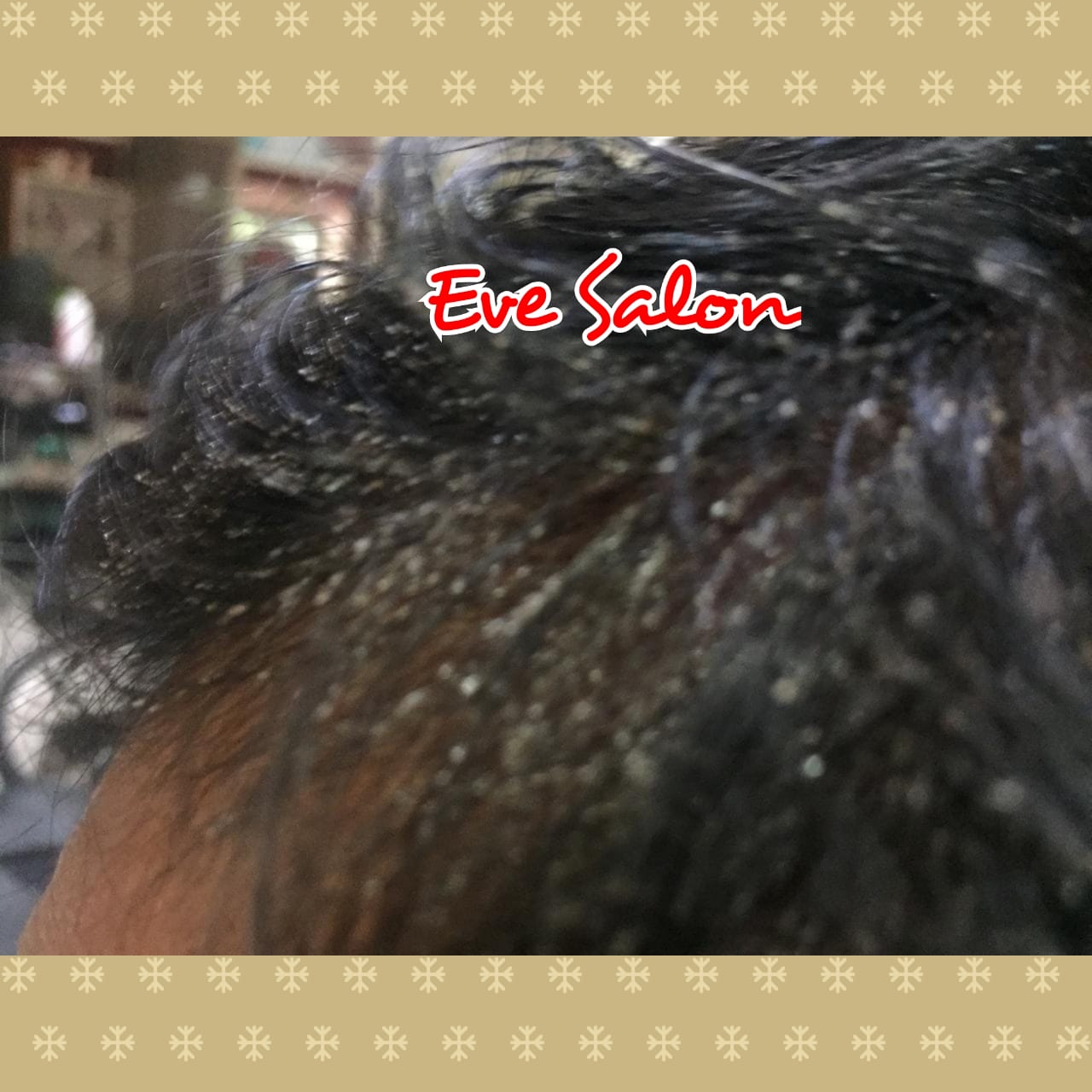 salon kutu tangerang selatan