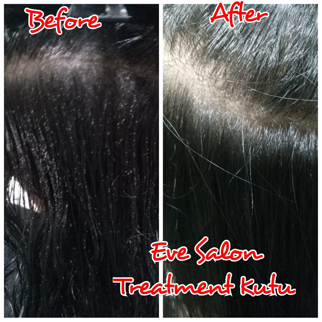 salon kutu di krukut
